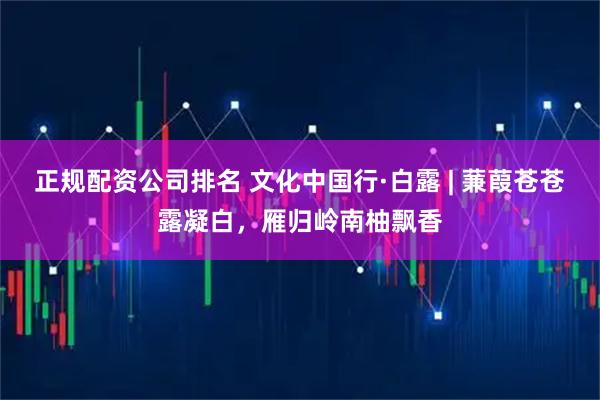 正规配资公司排名 文化中国行·白露 | 蒹葭苍苍露凝白，雁归岭南柚飘香