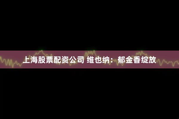 上海股票配资公司 维也纳：郁金香绽放